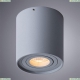A5645PL-1GY Потолочный светильник Arte Lamp (Арте ламп), Falcon