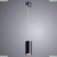 A1516SP-1BK Подвесной светильник Arte Lamp (Арте ламп), Canopus