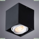 A5654PL-1BK Потолочный светильник Arte Lamp (Арте ламп), Pictor