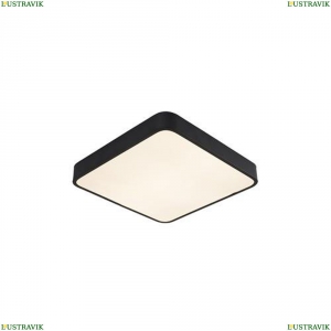 A2663PL-1BK Потолочный светильник Arte Lamp (Арте ламп), Scena