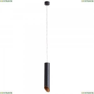 A1536SP-1BK Подвесной светильник Arte Lamp (Арте ламп), Pilon-gold