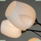A2706PL-8CK Потолочная люстра Arte Lamp (Арте ламп), BRIGHTON
