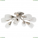 A2701PL-9WG Потолочная люстра Arte Lamp (Арте ламп), PENNY