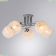 A4121PL-5WH Люстра потолочная Arte lamp, Atria