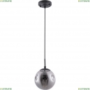 A9915SP-1BK Подвесной светильник Arte lamp, Tureis