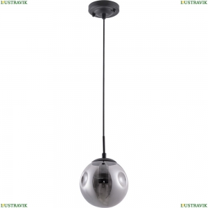 A9915SP-1BK Подвесной светильник Arte lamp, Tureis