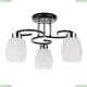 A4505PL-3BK Потолочная люстра Krit Arte lamp, KRIT