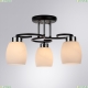 A4505PL-3BK Потолочная люстра Krit Arte lamp, KRIT