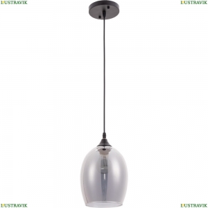 A4344SP-1BK Подвесной светильник  Arte lamp, Propus
