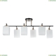 A4071PL-6BK Потолочная люстра Merope Arte lamp, MEROPE