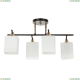 A4071PL-4BK Потолочный светильник Merope Arte lamp, MEROPE