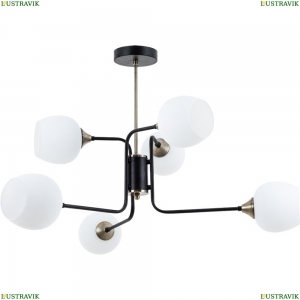 A3564PL-6BK Люстра на штанге Arte lamp, Skat