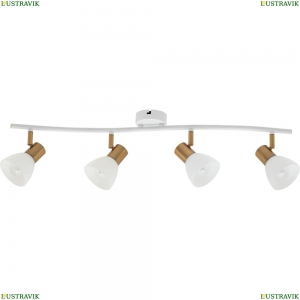 A3117PL-4WH Спот Arte lamp, Falena