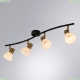 A3117PL-4BK Спот Arte lamp, Falena