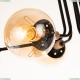 A2716PL-6BK Потолочная люстра Oxford Arte lamp, OXFORD