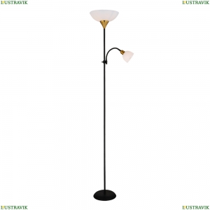 A9569PN-2BK Торшер с дополнительной подсветкой Duetto Arte lamp, DUETTO