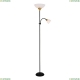 A9569PN-2BK Торшер с дополнительной подсветкой Duetto Arte lamp, DUETTO