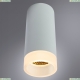 A5556PL-1WH Накладной потолочный светильник Arte lamp, OGMA