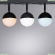 A4565PL-1BK Однофазный светильник для трека Virgo Arte lamp, Virgo