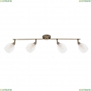 A3184PL-4AB Спот Arte lamp, BIHAM