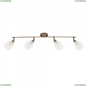 A3184PL-4AB Спот Arte lamp, BIHAM