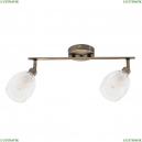 A3184PL-2AB Спот Arte lamp, BIHAM