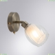 A3184AP-1AB Спот Arte lamp, BIHAM
