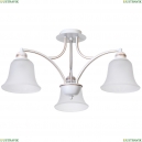 A2713PL-3WG Потолочная люстра Emma Arte lamp, EMMA