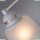 A2713PL-3WG Потолочная люстра Emma Arte lamp, EMMA