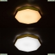 A2659PL-1YL Потолочный светодиодный светильник Arte lamp, KANT