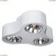 A5643PL-3WH Потолочный светильник Arte lamp, Cliff