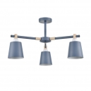 8098/3C Люстра на штанге LUMION, Moderni Rosalina