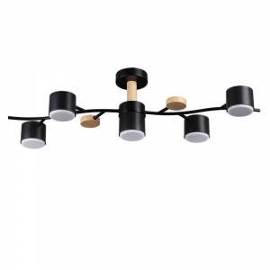 8194/5C Потолочный светильник LUMION, Crypto Comfi