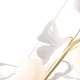 COLIBRI SP10 GOLD Люстра Crystal Lux, Colibri