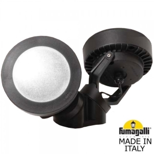 4M1.000.000.AXD2L Уличный прожектор Fumagalli, Tommy