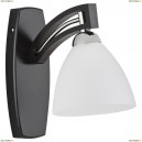 21350 Бра Alfa (Альфа), Magnat Venge