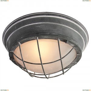 LSP-9881 Потолочный светильник Lussole Loft (Люссоль), Loft