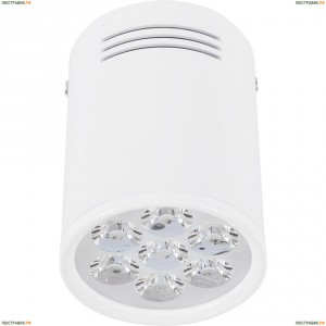 5945 Потолочный светодиодный светильник Nowodvorski (Новодворски), Shop Led