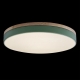 10001/36 Green Потолочный светодиодный светильник Axel LOFT IT, Axel