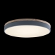 10001/36 Grey Потолочный светодиодный светильник Axel LOFT IT, Axel