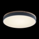 10001/36 Grey Потолочный светодиодный светильник Axel LOFT IT, Axel