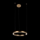 10013M Светильник подвесной светодиодный LOFT IT, Ring