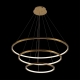 10015/3 Подвесной светодиодный светильник LOFT IT, Ring