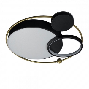 10064 Потолочный светодиодный светильник LOFT IT, Mike