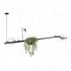 10121/C Подвесной светильник LOFT IT, Jardin