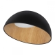 10197/500 Black Потолочный светодиодный светильник LOFT IT, Egg