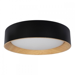 10202 Black Потолочный светодиодный светильник LOFT IT, Coin