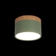10162 Green Накладной светодиодный светильник LOFT IT, Grape