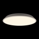 10226 White Потолочный светодиодный светильник LOFT IT, Brim