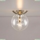 CL102511 Настенно-потолочный светильник Citilux, Томми